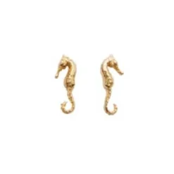 Discount Pico Seahorse Studs - Gold Antal